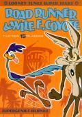 Subtitrare Looney Tunes Road Runner and Wile E Coyote