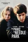 Subtitrare Panic in Needle Park, The (1971)