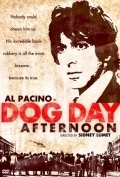 Subtitrare Dog Day Afternoon (1975)