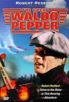 Subtitrare The Great Waldo Pepper (1975)