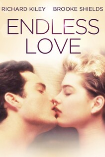 Subtitrare Endless Love (1981)