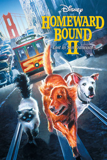 Subtitrare Homeward Bound II: Lost in San Francisco (1996)