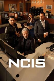 Subtitrare Navy NCIS: Sezonul 5 (2003)