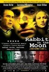 Subtitrare  Rabbit on the Moon [Conejo en la luna] (2004)