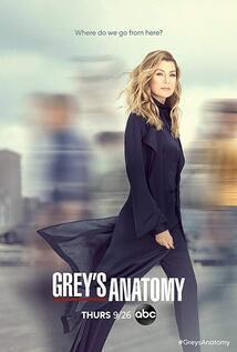 Subtitrare Greys Anatomy - Sezonul 16 (2005)