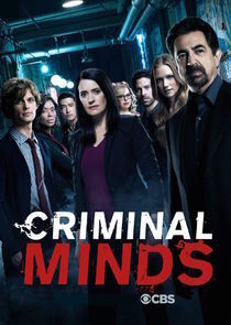 Subtitrare Criminal Minds - Sezonul 12