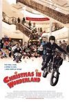 Subtitrare Christmas in Wonderland (2007)