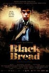 Subtitrare Black Bread (Pa negre) (2010)