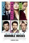 Subtitrare Horrible Bosses (2011)