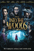Subtitrare Into the Woods (2014)