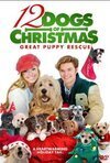 Subtitrare 12 Dogs of Christmas: Great Puppy Rescue (2012)