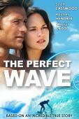 Subtitrare The Perfect Wave (2014)