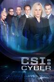 Subtitrare CSI: Cyber - Sezonul 2 (2015)