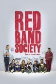 Subtitrare Red Band Society - Sezonul 1 (2014)