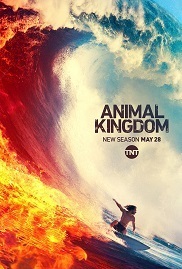 Subtitrare Animal Kingdom - Sezoanele 1-6 (2016)
