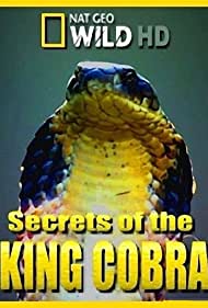Subtitrare Secrets of the King Cobra (2010)