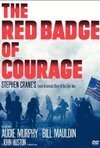 Subtitrare The Red Badge of Courage (1951)
