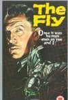 Subtitrare The Fly (1958)