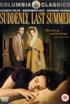 Subtitrare Suddenly, Last Summer (1959)