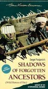 Subtitrare Tini zabutykh predkiv (Shadows of Forgotten Ancestors) (1964)