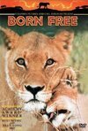 Subtitrare Born Free (1966)