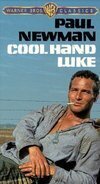 Subtitrare Cool Hand Luke (1967)