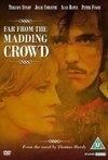 Subtitrare Far from the Madding Crowd (1967)