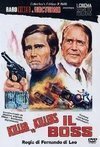 Subtitrare Il boss (1973)