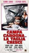 Subtitrare Campa carogna... la taglia cresce (1973)