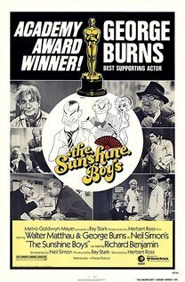 Subtitrare The Sunshine Boys (1975)