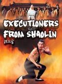 Subtitrare Executioners from Shaolin (Hong Xi Guan) (1977)