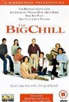 Subtitrare The Big Chill (1983)