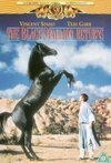 Subtitrare The Black Stallion Returns (1983)