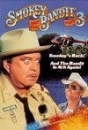 Subtitrare Smokey and the Bandit Part 3 (1983)