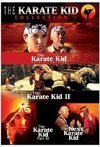 Subtitrare Karate Kid, The (1984)