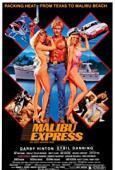 Subtitrare Malibu Express (1985)