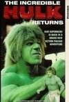Subtitrare Incredible Hulk Returns, The (1988) (TV)