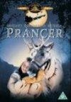 Subtitrare Prancer (1989)