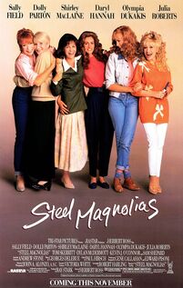 Subtitrare Steel Magnolias (1989)