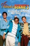 Subtitrare Weekend at Bernie's (1989)