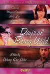 Subtitrare Days of being wild [A Fei jing juen] (1991)