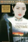 Subtitrare Ba wang bie ji (Farewell My Concubine) (1993)