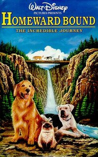 Subtitrare Homeward Bound: The Incredible Journey (1993)