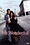 Subtitrare Mr. Wonderful (1993)
