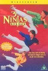 Subtitrare 3 Ninjas Kick Back (1994)