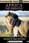 Subtitrare Africa: The Serengeti (1994)