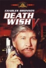 Subtitrare Death Wish V: The Face of Death (1994)