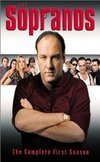 Subtitrare The Sopranos - Sezonul 1 (1999)