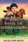 Subtitrare Where the Red Fern Grows (2003)