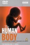 Subtitrare Human Body, The (1998) (mini)